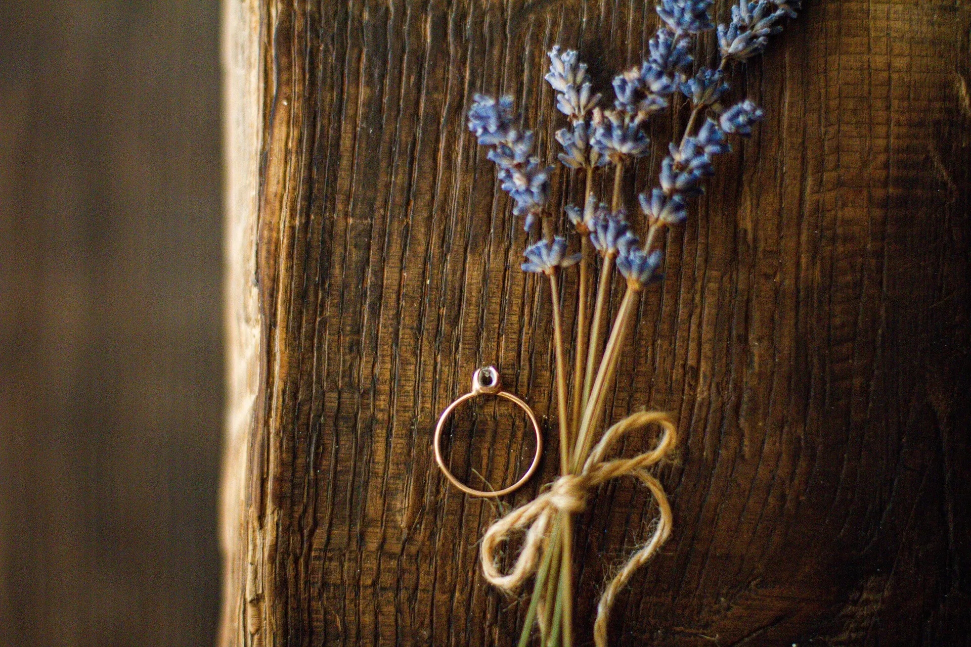 Özel Gün & Tematik Turlar